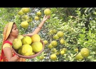  ग व क तर क स बन य न म ब क आच र त स ल स ल तक ख़र ब नह ह ग Lemon Pickle Recipe