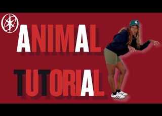  Animal لفرقة Katseye درس سهل مناسب للمبتدئين
