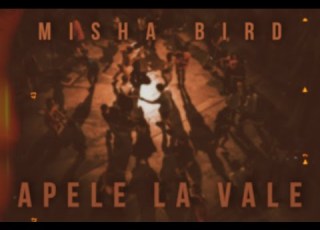 MAHAYA Apele La Vale Official Audio