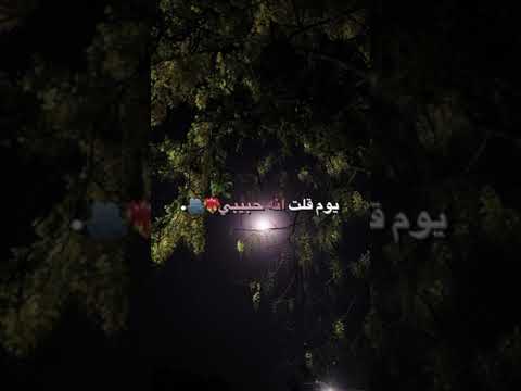 شيلة ليت قلبي قد عصاني