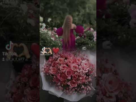 فتحلك وردة الزهر و عشاقك طقو من القهر حلات وتس اب عن عيد الحب 1