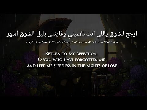 Elissa Ergae Lel Sho Egyptian Arabic Lyrics Translation اليسا ارجع للشوق