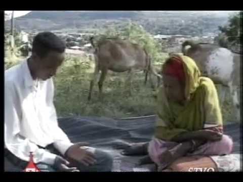 Galmee Seenaa Irraa Wallistuu Oromoo Aaddee Almaaz Tafarraa Booqatte 010918