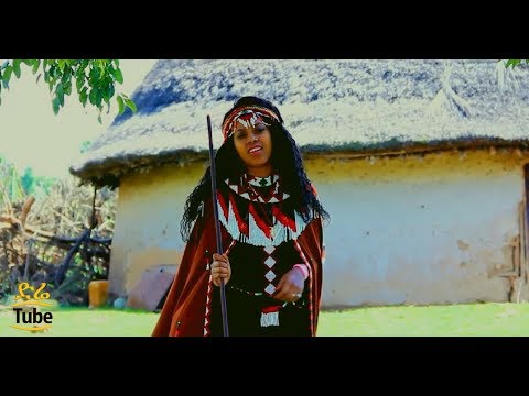 Faayoo Mootii Geerare Didaan New Oromoo Music New Oromoo Music 2017 Official Video