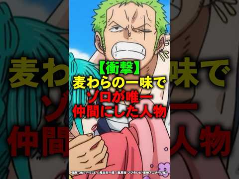 麦わらの一味でゾロが唯一仲間に選んだ人物 ワンピース Shorts
