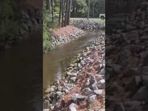 TAKEING A WALK WITH A FRIEND