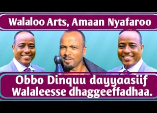 Walaloo Arts Amaan Nyafaroo Obbo Dinquu Dayyaasiif Walaleesse