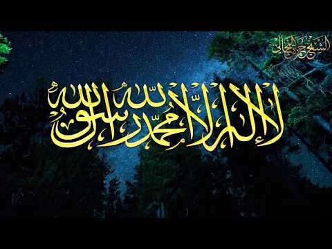 موعظة يار ب لك الحمد على نعمة الإسلام الشيخ الدكتور حمزة المجالي موعظة يار ب لك الحمد على نعمة الإسلام الشيخ الدكتور حمزة المجالي