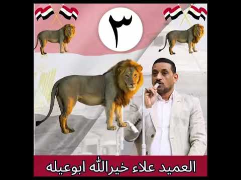 الدايره الرابعه محافظه اسيوط انتخابات مجلس النواب 2025 ابوتيج وصدفا والغنايم