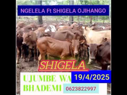NGELELA Ft SHIGELA OJIHANGO UJUMBE WA BHADEMI
