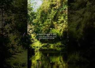 أكثر آية بتر القلب لازم تسمعها للآخر قرآن ترند