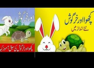 Kachwa Aur Khargosh Urdu Story کچھوا اور خرگوش کی کہانی نئے انداز سے اردو کہانی