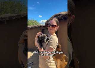 Visit A Traditional Masai Village With Me A Unique Tour Part 2 Africa Travel Travelvlog