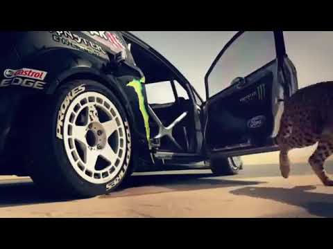 Yalili Yalila Song Remix