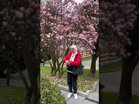 نتمني لحظة مصرية في اسبانيا كل الحب و كل التقدير نتمني لحظة مصرية في اسبانيا كل الحب و كل التقدير