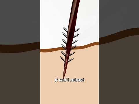 Ich Liebe Es Mein Wissenschaftliches Wissen Täglich Zu Aktualisieren Und Es Mit Meiner Familie Z