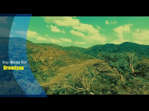 Iluu Abbaa Bor Oromiyaa Cinematic View