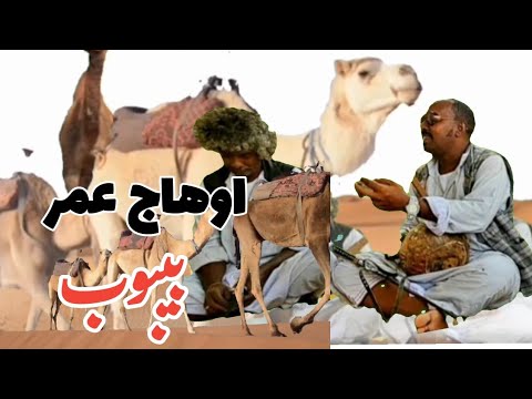 المبدع اوهاج عمر بيبوب Ohag Omer Biboob