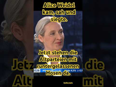 Aliceweidel Afd Demaskiert Heuchelei Der Altparteien