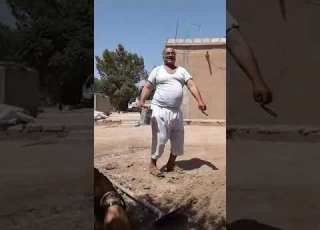 الراقصة الجميلة