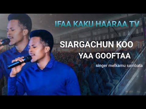SIARGACHUN KOO YAA GOOFTAA SINGER MELKAMU SAMBATA IFAA KAKU HAARAA TV SIARGACHUN KOO YAA GOOFTAA SINGER MELKAMU SAMBATA IFAA KAKU HAARAA TV