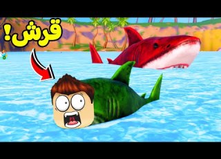  دورة حياة سمك القرش لعبة Roblox