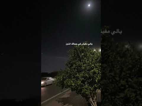 قولي الاقي انا زيك فين يلي مفيش ف جمالك اتنين
