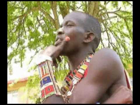 Shakenisho