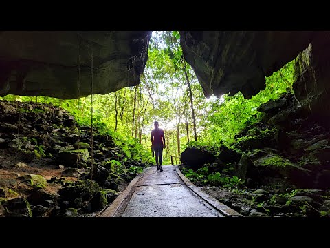 Mulu National Park Mulu Marriott Raj Ash 2022