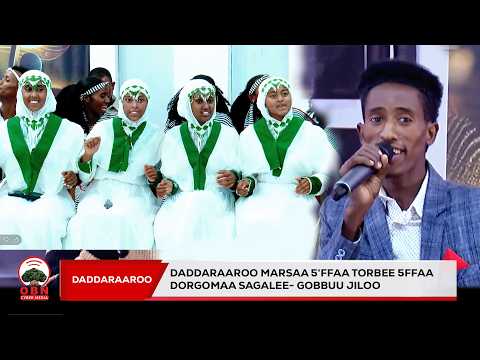 Dorgommii Daddaraaroo Marsaa 5 Ffaa Torbee 5ffaaDorgomaa Sagalee Gobbuu Jiloo