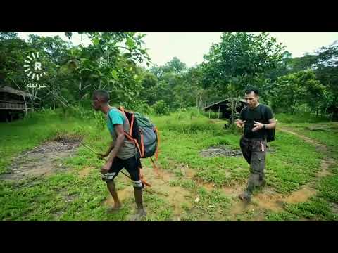 سبب غريب وراء بناء قبيلة كوروواي منازلهم بارتفاع 40 مترا سبب غريب وراء بناء قبيلة كوروواي منازلهم بارتفاع 40 مترا