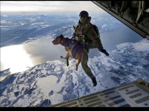 HOOKED ON CLASSICS IF YOU KNEW SOUSA