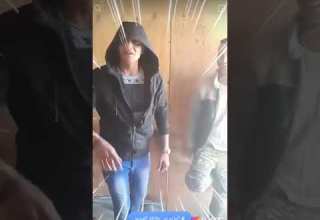 نجم البدرشين محمود غريب