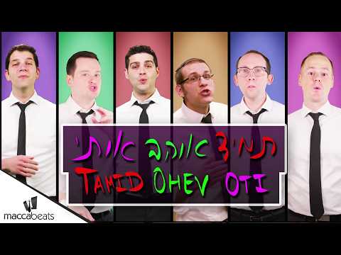 The Maccabeats Tamid Ohev Oti תמיד אוהב אותי
