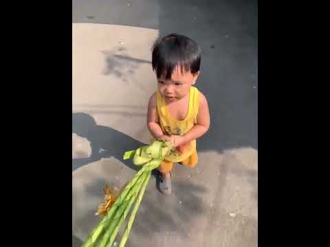 Happy Palm Sunday 2026