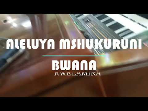 ALELUYA MSHUKURUNI BWANA Na FR RENATUS RWELAMIRA