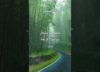  31 يناير لماذا نتألم