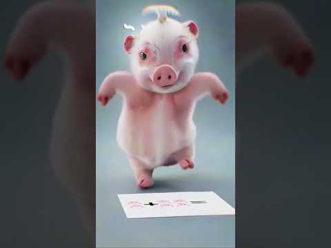 Pig Dance 01 Pig Animals Tiktok
