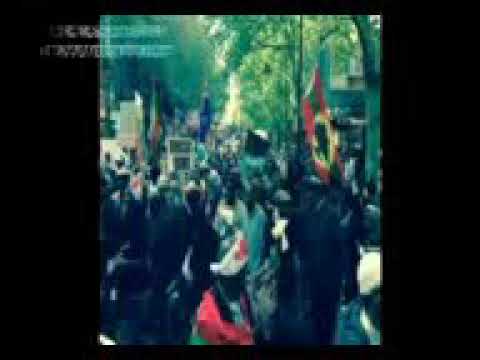 Sirba Harawaa Itiqa Tafrii 11 20 2017