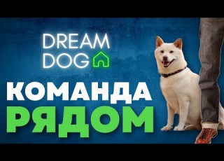 Как научить собаку команде Рядом Пошагово без ошибок