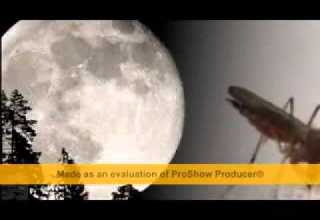 انشودة يامن يرى ابوخاطر YouTube