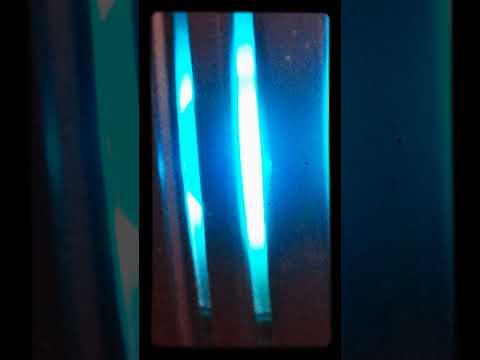 اليوم الفرح عشانه عاشانو