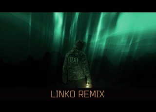  K 391 RØRY Aurora Linko Remix