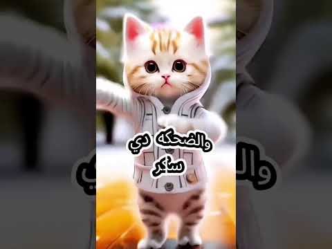 داليدا يا قمر اغنيه باسم داليدا