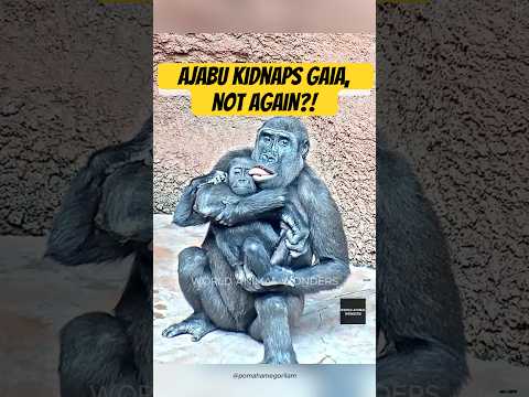 When Ajabu Kidnaps Gaia Again