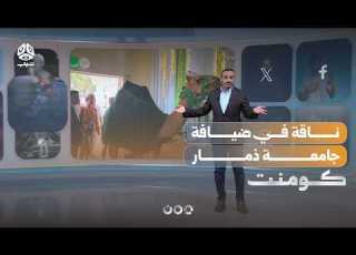  ناقة في إحدى قاعات جامعة ذمار تثير سخرية اليمنيين كومنت