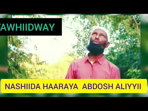 15 January 2026 Nashiida Haaraya Abdosh Aliyyii