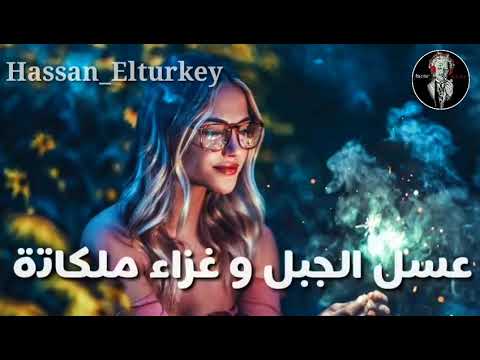حالات واتس مهرجانات رومانسيه حمو بيكا نظره عنيكي محتاجه افوكاتو مهرجان وش غضب 2019
