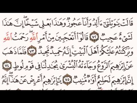 الصفحة رقم 230 الشيخ ياسر الدوسري