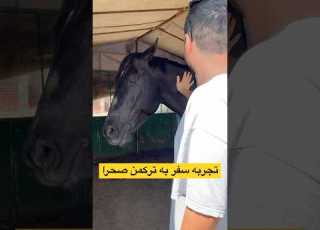 ولاگ سفر سه روزه ترکمن صحرا گلستان تجربه دیدن اسب ترکمن دیدن قبرستان خالد نبی و خوردن غذاهای محلی